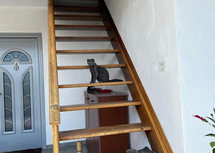 Apartmán L&d Pogradec